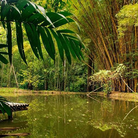 Reserva Biologica Caoba Bonda Ngoại thất bức ảnh